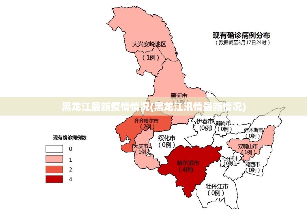 黑龙江最新疫情情况(黑龙江汛情最新情况)