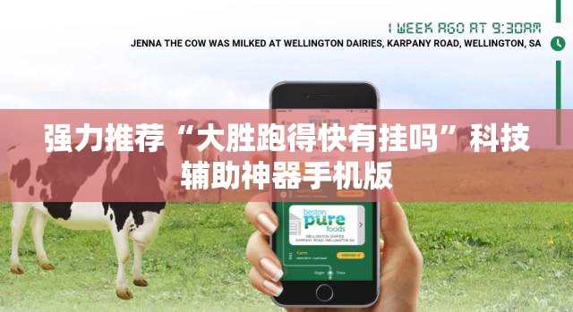 强力推荐“大胜跑得快有挂吗”科技辅助神器手机版