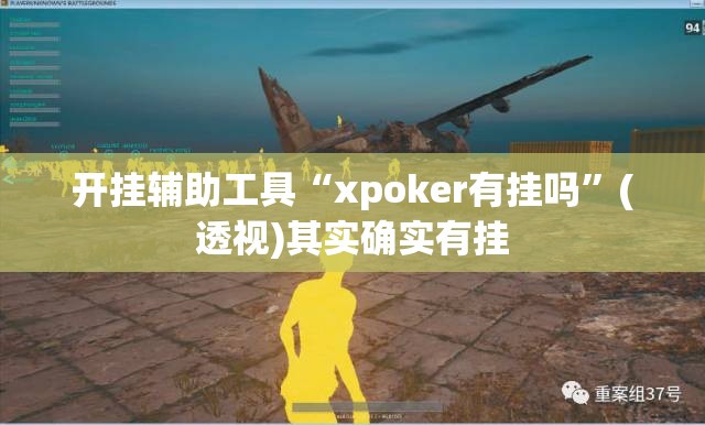 开挂辅助工具“xpoker有挂吗”(透视)其实确实有挂