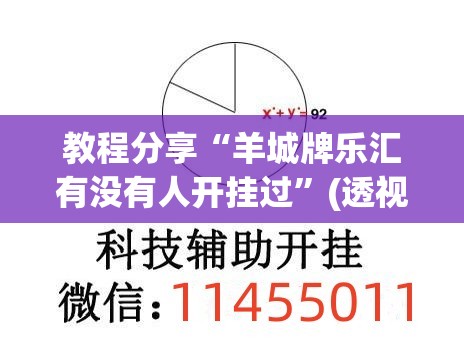 教程分享“羊城牌乐汇有没有人开挂过”(透视挂)辅助下载教程
