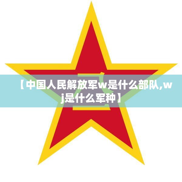 【中国人民解放军w是什么部队,wj是什么军种】 【中国人民解放军w是什么部队,wj是什么军种】