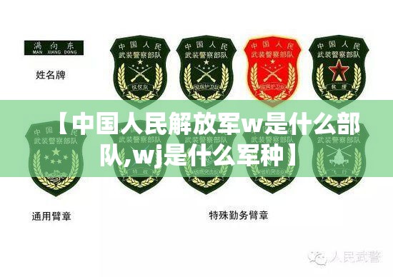 【中国人民解放军w是什么部队,wj是什么军种】 【中国人民解放军w是什么部队,wj是什么军种】