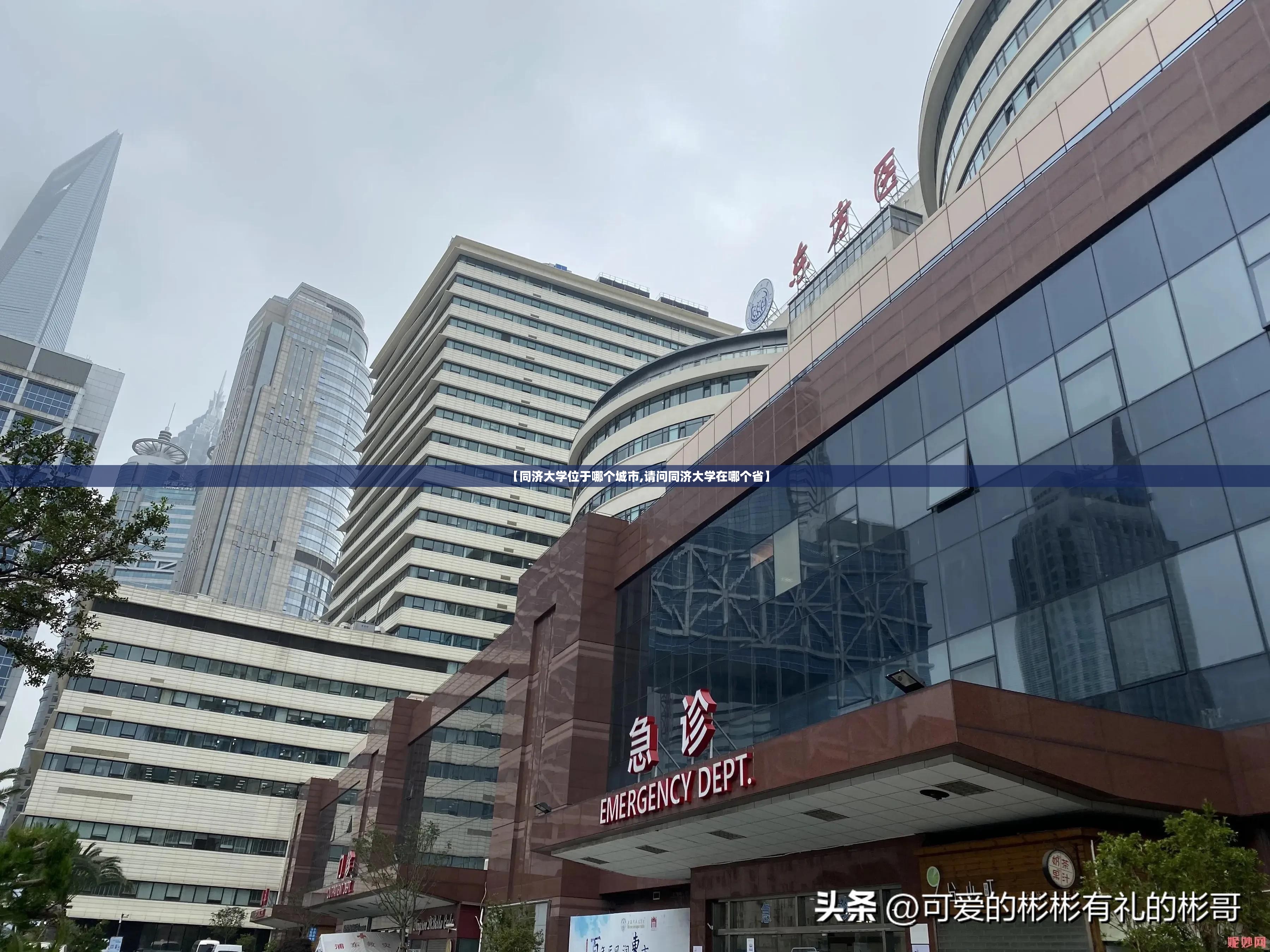 【同济大学位于哪个城市,请问同济大学在哪个省】