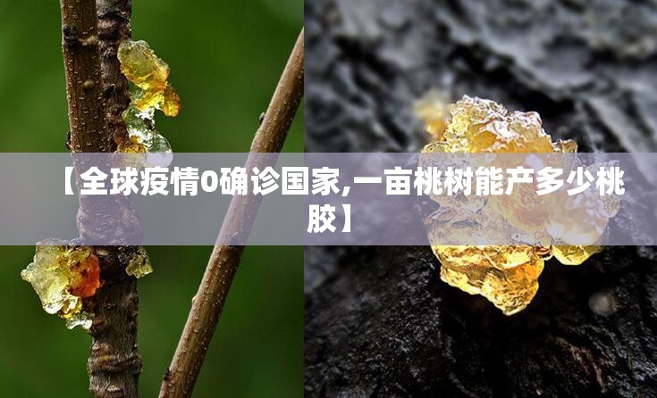 【全球疫情0确诊国家,一亩桃树能产多少桃胶】 【全球疫情0确诊国家,一亩桃树能产多少桃胶】