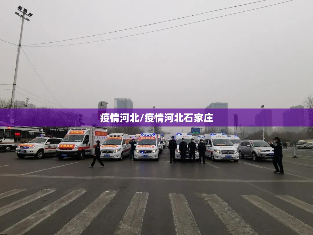 疫情河北/疫情河北石家庄 疫情河北/疫情河北石家庄