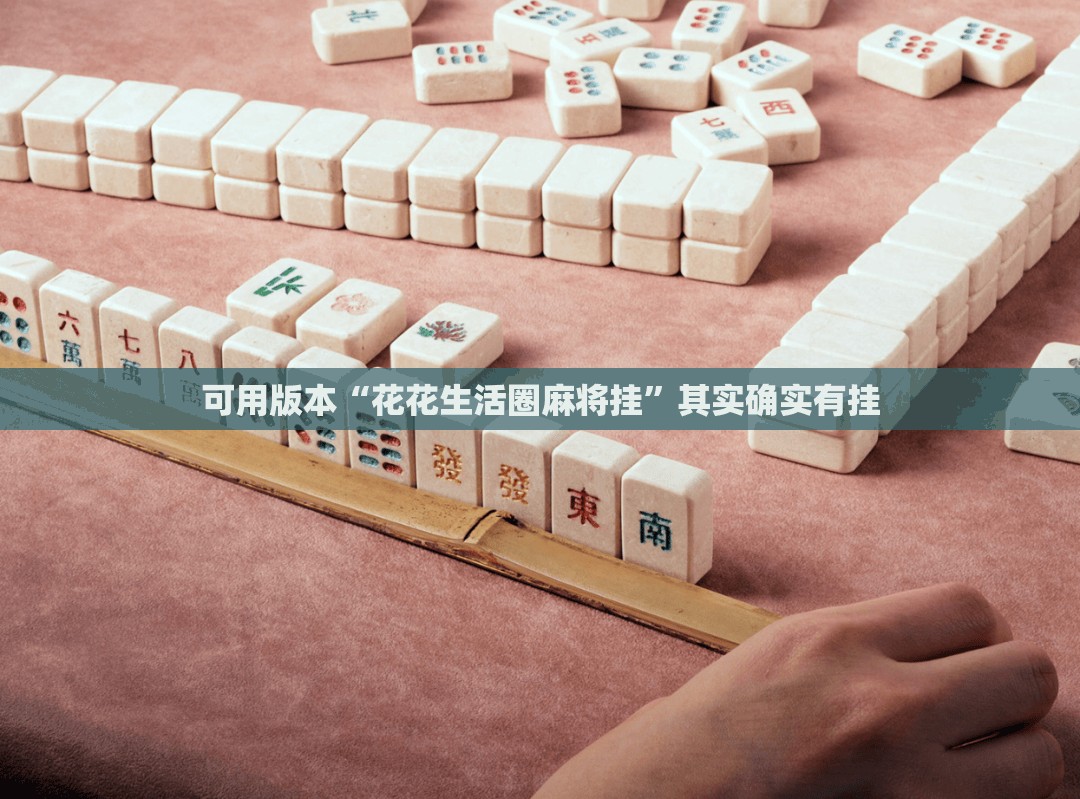 可用版本“花花生活圈麻将挂”其实确实有挂