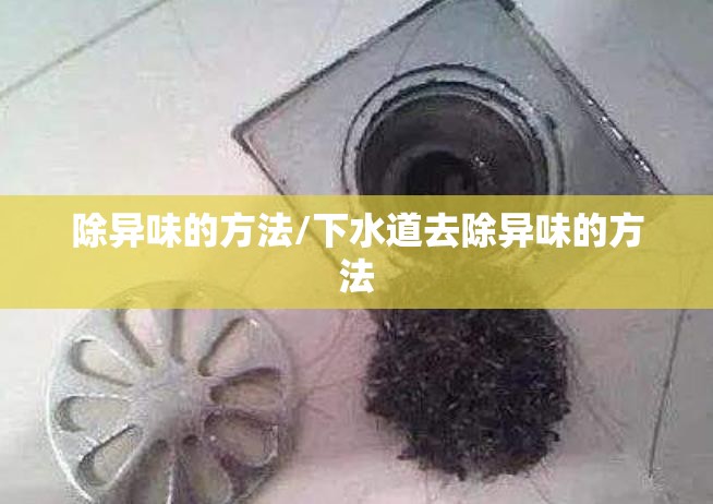 除异味的方法/下水道去除异味的方法 除异味的方法/下水道去除异味的方法