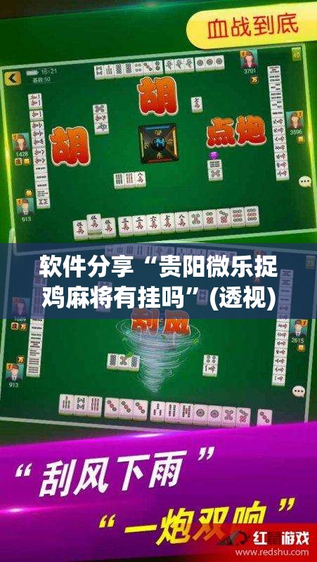 软件分享“贵阳微乐捉鸡麻将有挂吗	”(透视)其实确实有挂