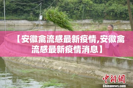 【安徽禽流感最新疫情,安徽禽流感最新疫情消息】 【安徽禽流感最新疫情,安徽禽流感最新疫情消息】