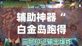 辅助神器“白金岛跑得快到底有没有挂”其实确实有挂