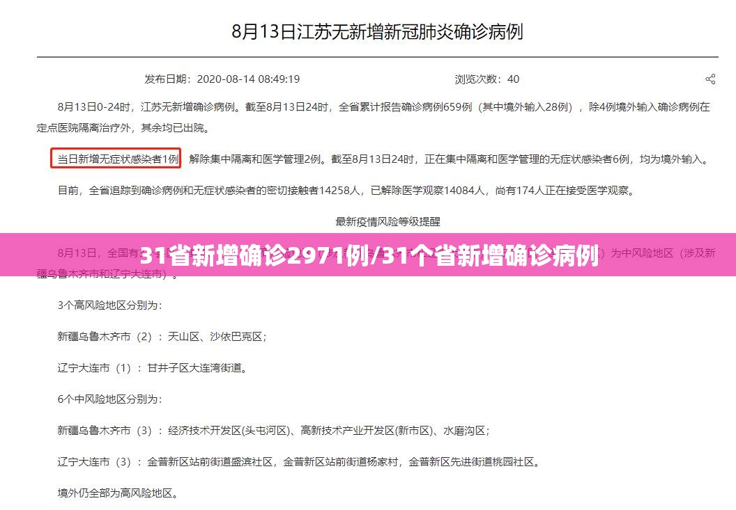 31省新增确诊2971例/31个省新增确诊病例