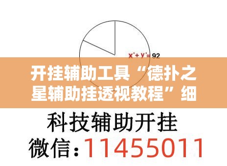 开挂辅助工具“德扑之星辅助挂透视教程”细辅助教程分享