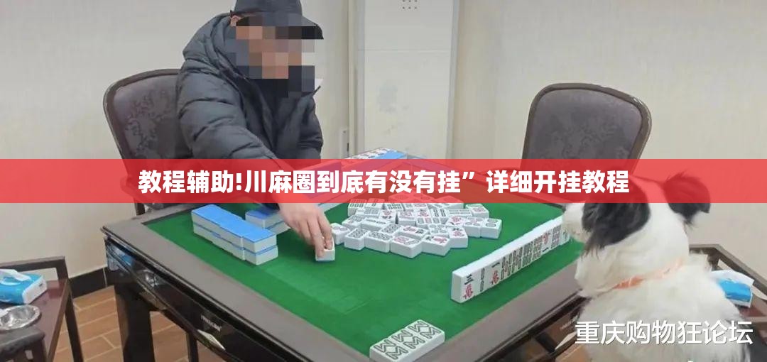 教程辅助!川麻圈到底有没有挂”详细开挂教程