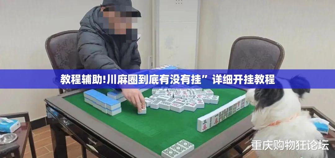 教程辅助!川麻圈到底有没有挂”详细开挂教程