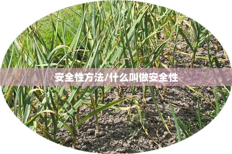 安全性方法/什么叫做安全性 安全性方法/什么叫做安全性