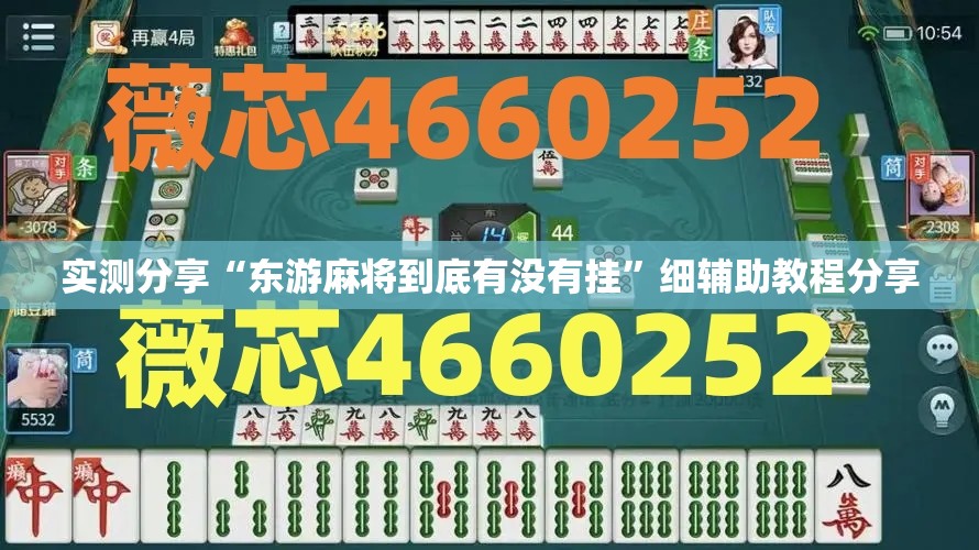 实测分享“东游麻将到底有没有挂”细辅助教程分享