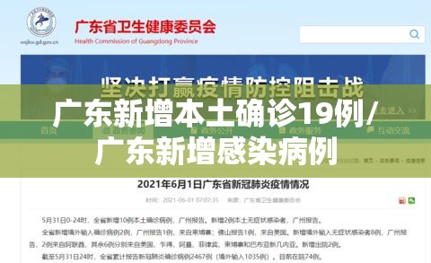 广东新增本土确诊19例/广东新增感染病例