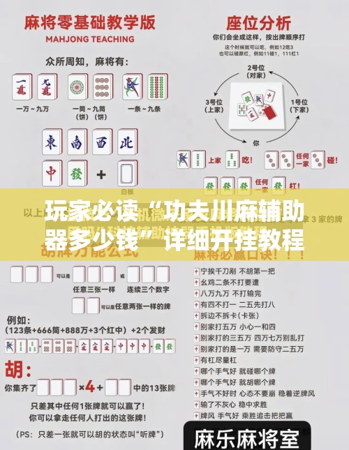 玩家必读“功夫川麻辅助器多少钱”详细开挂教程