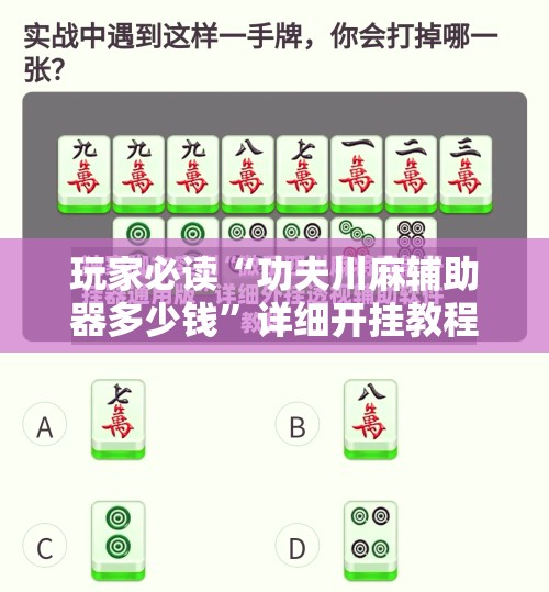 玩家必读“功夫川麻辅助器多少钱”详细开挂教程
