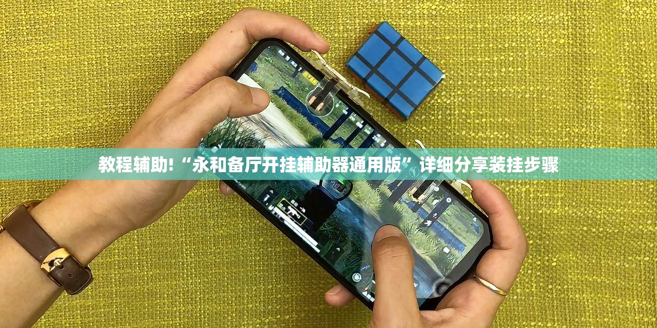 教程辅助!“永和备厅开挂辅助器通用版”详细分享装挂步骤