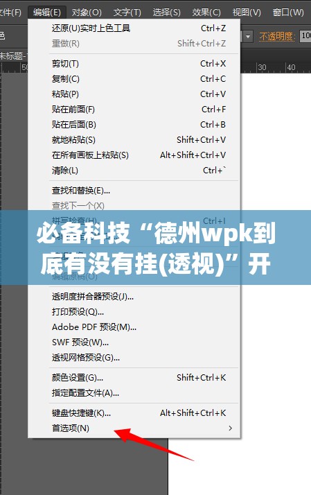 必备科技“德州wpk到底有没有挂(透视)	”开挂辅助脚本+详细开挂安装教程