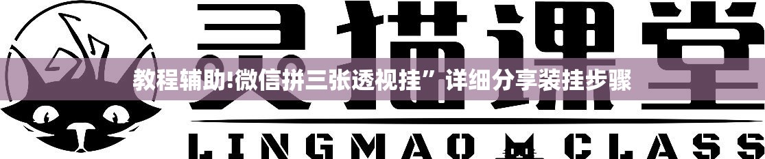 教程辅助!微信拼三张透视挂”详细分享装挂步骤