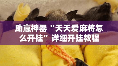 助赢神器“天天爱麻将怎么开挂”详细开挂教程