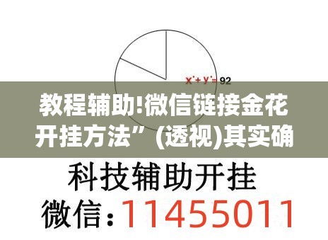 教程辅助!微信链接金花开挂方法”(透视)其实确实有挂
