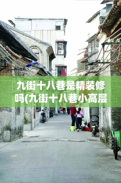 九街十八巷是精装修吗(九街十八巷小高层是富人区吗)