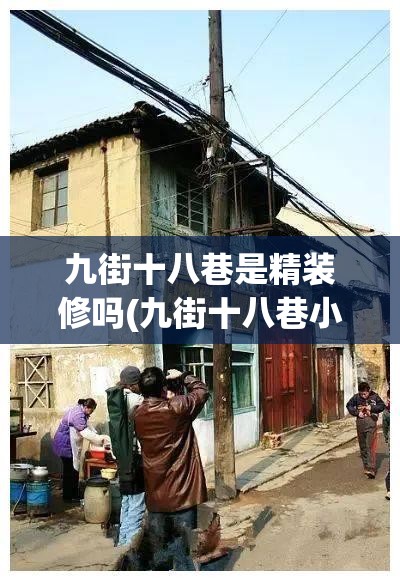 九街十八巷是精装修吗(九街十八巷小高层是富人区吗)