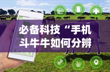 必备科技“手机斗牛牛如何分辨是不是有挂”(透视)其实确实有挂