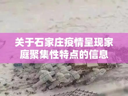 关于石家庄疫情呈现家庭聚集性特点的信息 关于石家庄疫情呈现家庭聚集性特点的信息