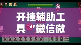 开挂辅助工具“微信微乐跑得快有挂吗”开挂详细教程