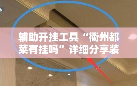 辅助开挂工具“衢州都莱有挂吗”详细分享装挂步骤