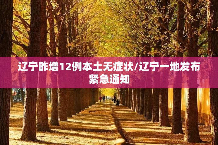 辽宁昨增12例本土无症状/辽宁一地发布紧急通知 辽宁昨增12例本土无症状/辽宁一地发布紧急通知