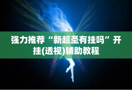 强力推荐“新超圣有挂吗”开挂(透视)辅助教程
