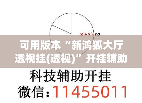 可用版本“新鸿狐大厅透视挂(透视)”开挂辅助脚本+详细开挂安装教程