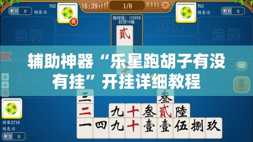 辅助神器“乐星跑胡子有没有挂”开挂详细教程