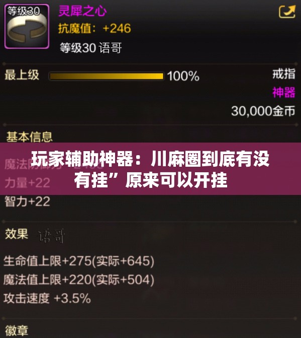 玩家辅助神器：川麻圈到底有没有挂”原来可以开挂