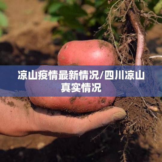 凉山疫情最新情况/四川凉山真实情况 凉山疫情最新情况/四川凉山真实情况