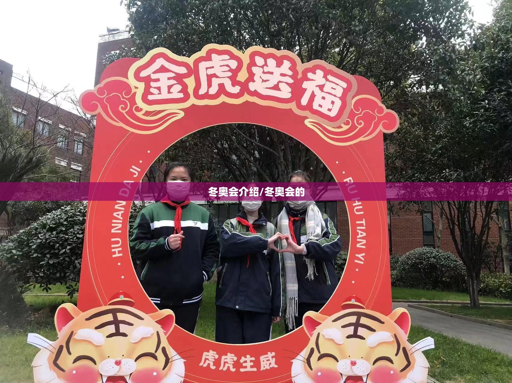 冬奥会介绍/冬奥会的 冬奥会介绍/冬奥会的