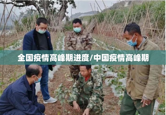 全国疫情高峰期进度/中国疫情高峰期 全国疫情高峰期进度/中国疫情高峰期