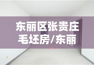 东丽区张贵庄毛坯房/东丽区张贵庄最新房源 东丽区张贵庄毛坯房/东丽区张贵庄最新房源