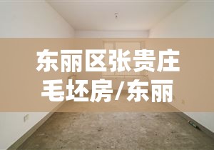 东丽区张贵庄毛坯房/东丽区张贵庄最新房源 东丽区张贵庄毛坯房/东丽区张贵庄最新房源
