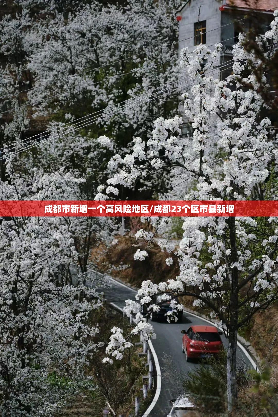 成都市新增一个高风险地区/成都23个区市县新增