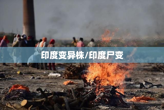 印度变异株/印度尸变 印度变异株/印度尸变
