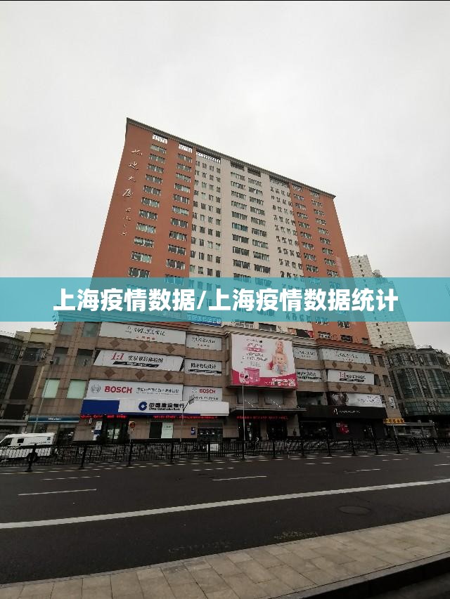 上海疫情数据/上海疫情数据统计