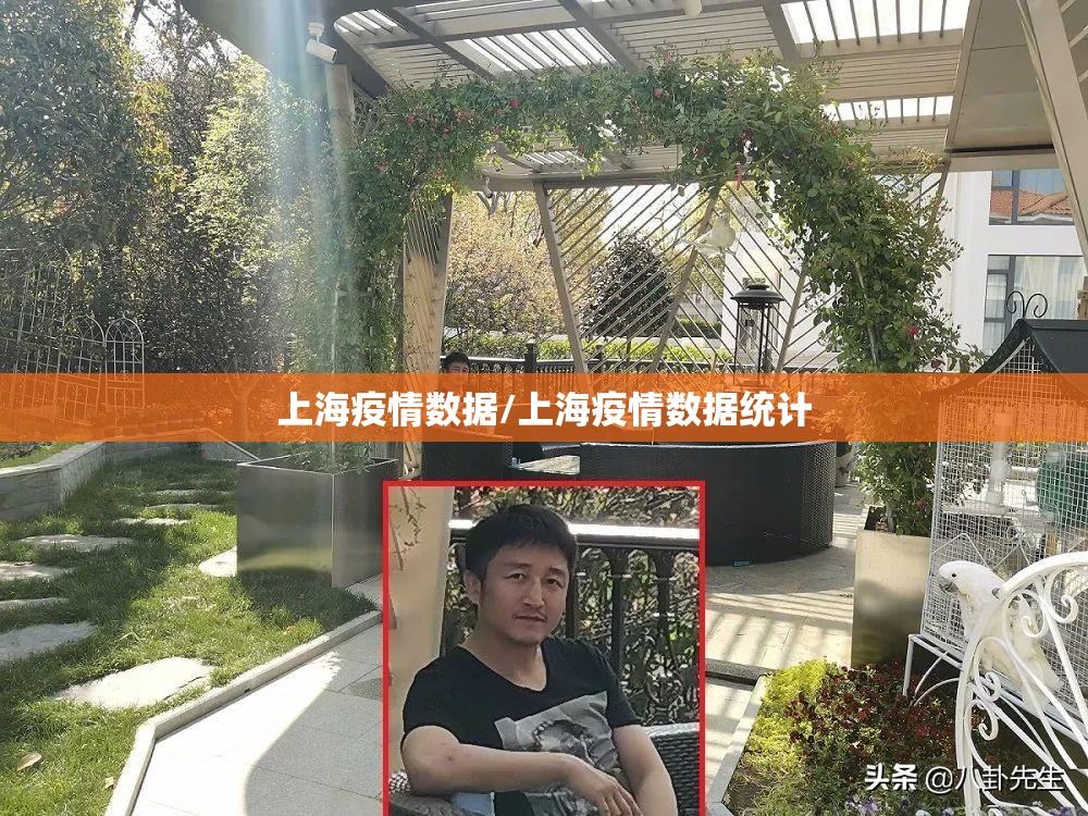 上海疫情数据/上海疫情数据统计