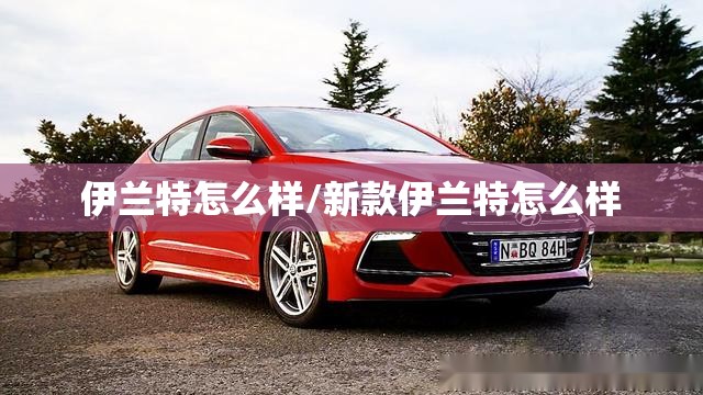 伊兰特怎么样/新款伊兰特怎么样 伊兰特怎么样/新款伊兰特怎么样