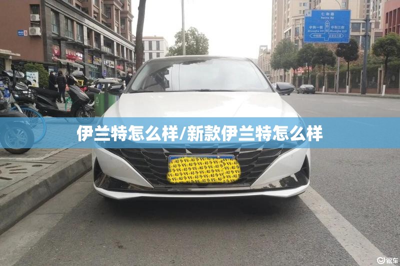 伊兰特怎么样/新款伊兰特怎么样